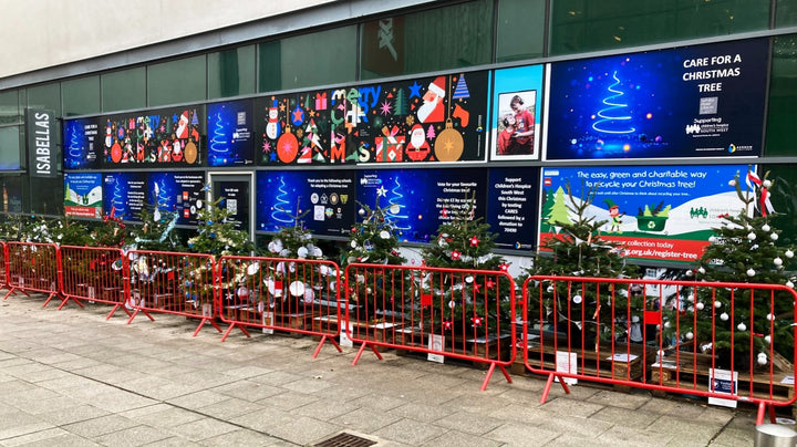 Lighting Up the Festive Season for Children's Hospice South West