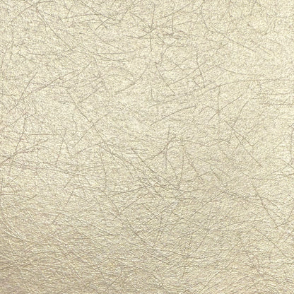 Swatch showing textured pearl wallpaper